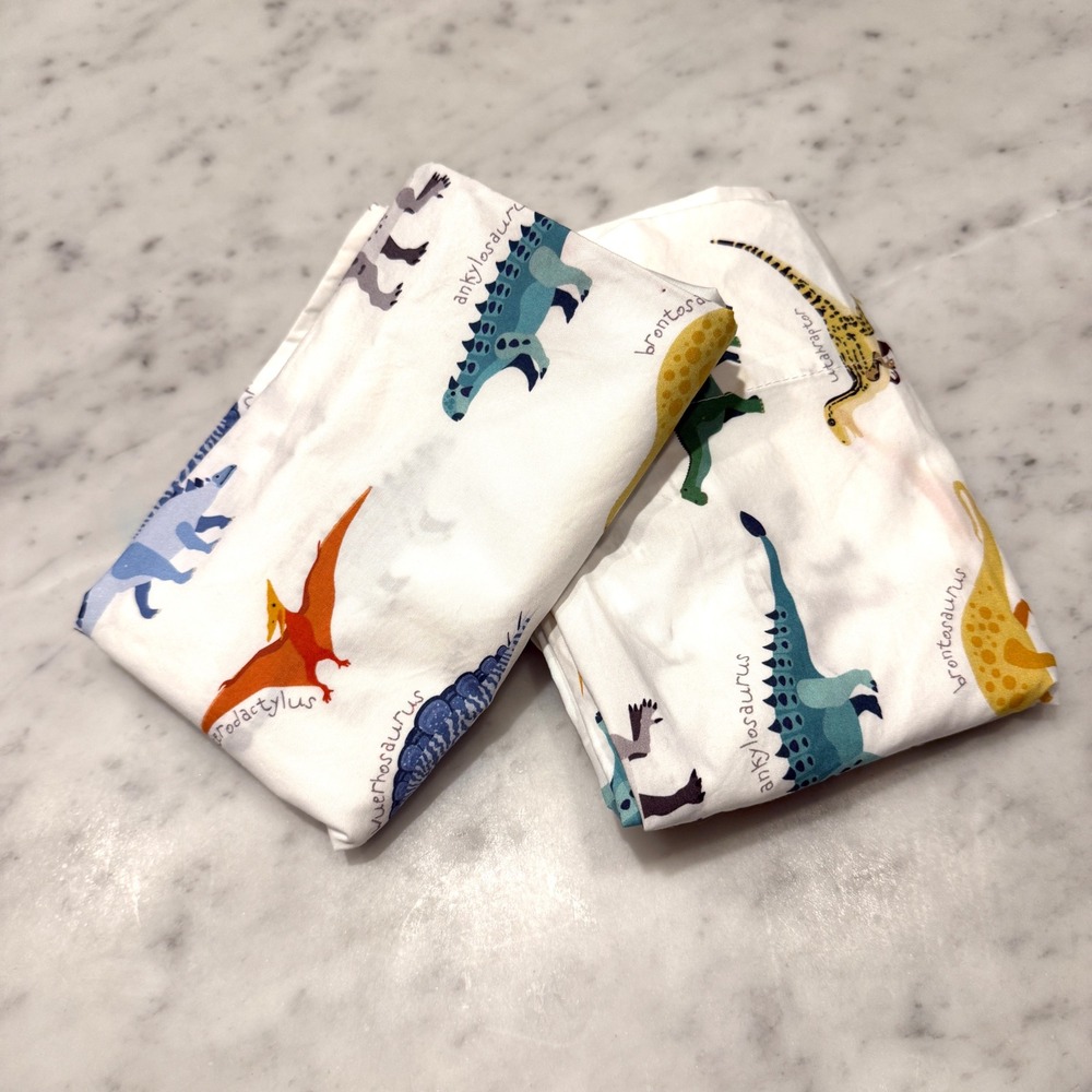 Pottery Barn Kids Dinosaur Organic Cotton Standard Pillowcase Set of 2 White